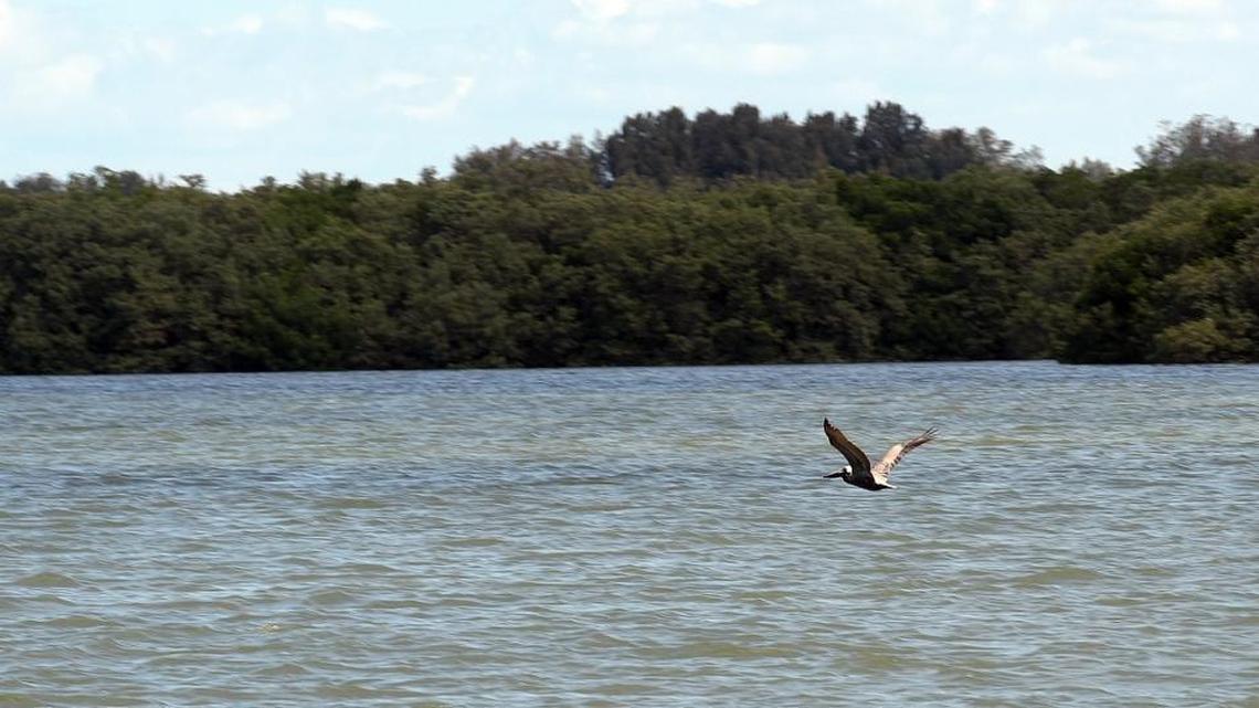 A mitigation bank for the proposed Aqua by the Bay development was denied by the U.S. Army Corps of Engineers on Friday.