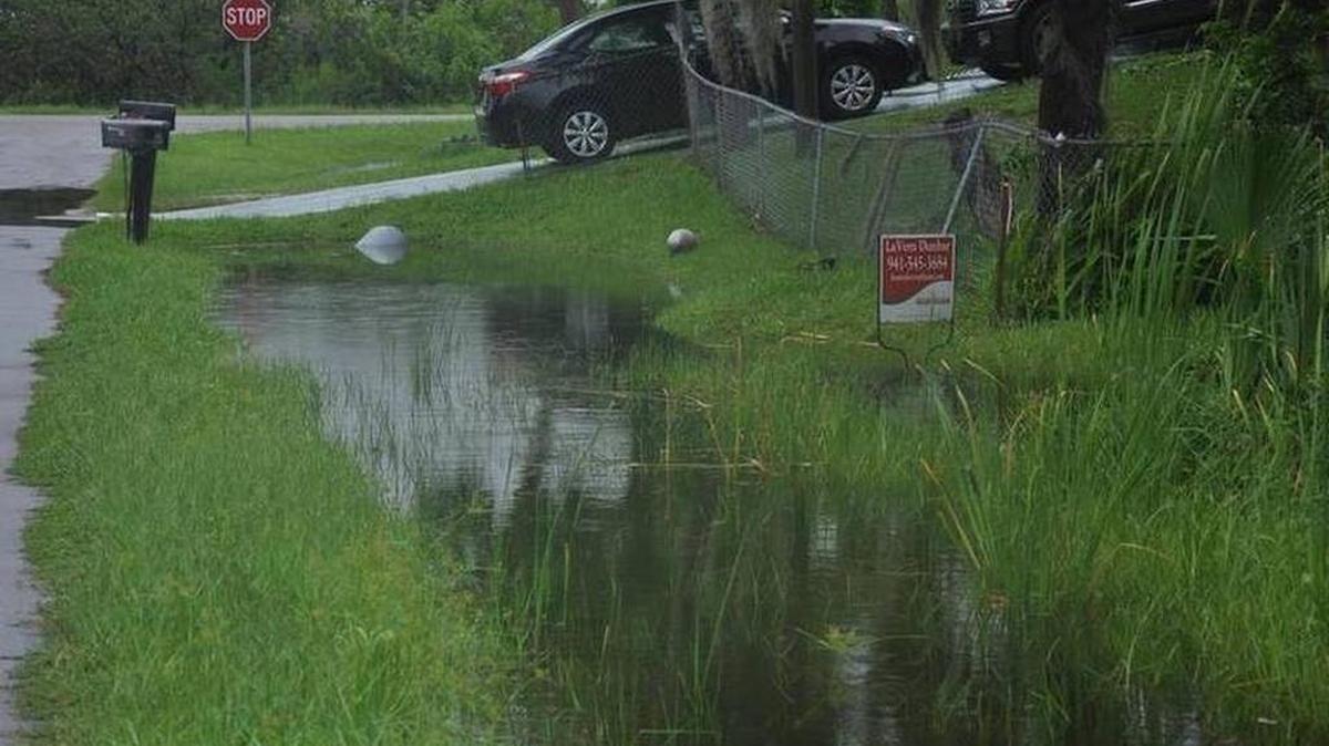 A drainage ditch along 70th Street Court East in Rubonia, after heavy rains dropped by Hurricane Hermine in September. Residents of the north Manatee County neighborhood have long complained of poor drainage in the area.