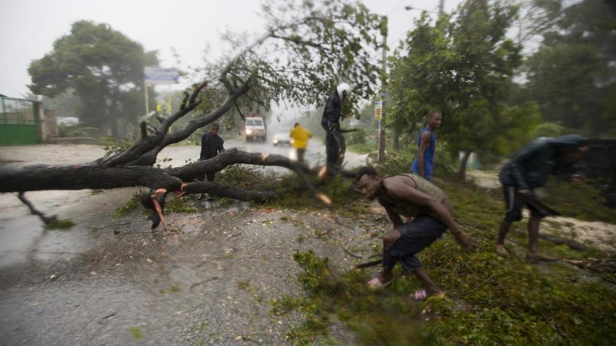 People work to remove an uprooted tree from a road in Leogane, Haiti, after Hurricane Matthew hit on Tuesday, Oct. 4, 2016.