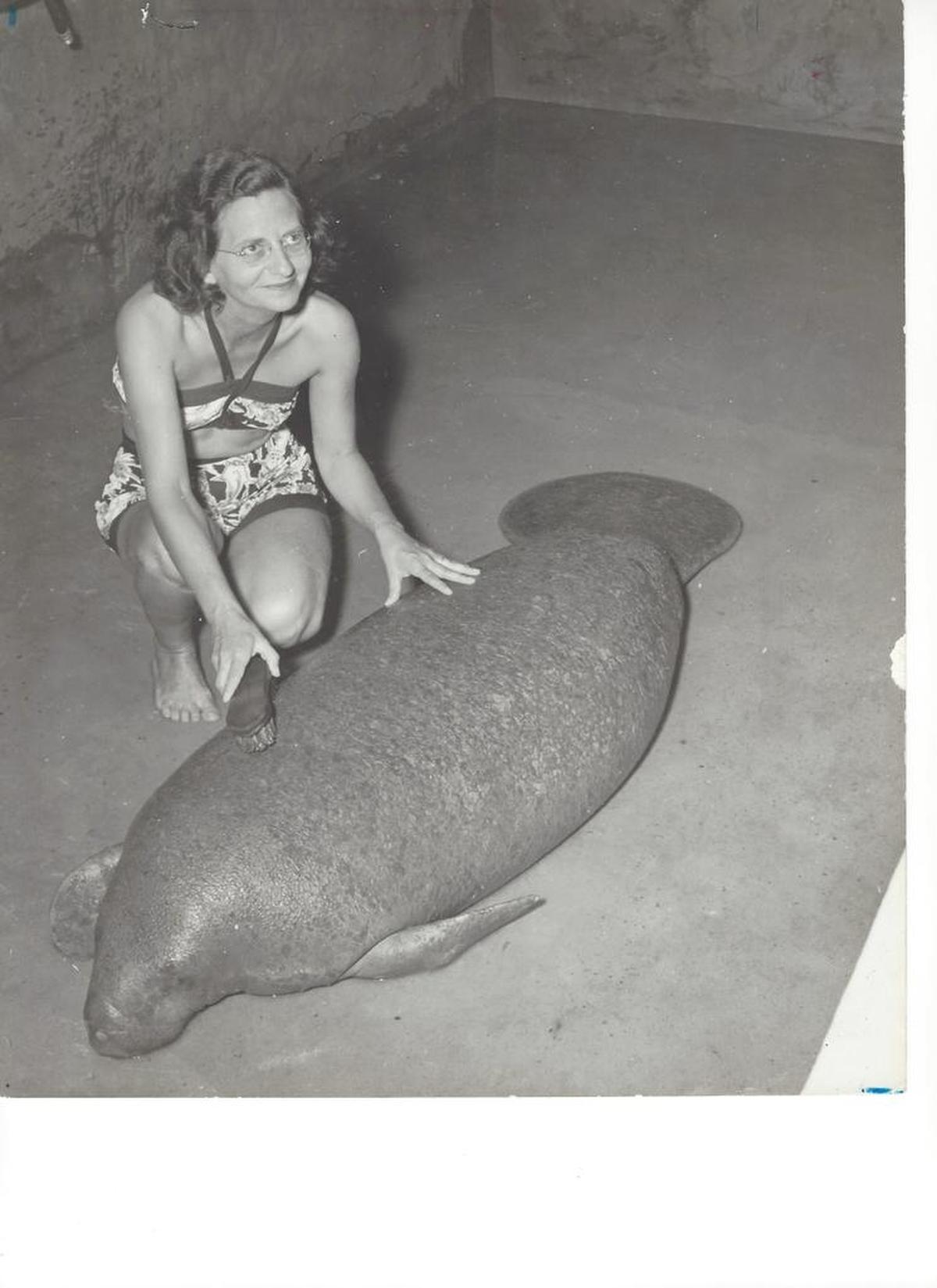 Marjorie Leigh, Curator of the South Florida Museum giving “Baby Snoots”, his Saturday bath. (1958)