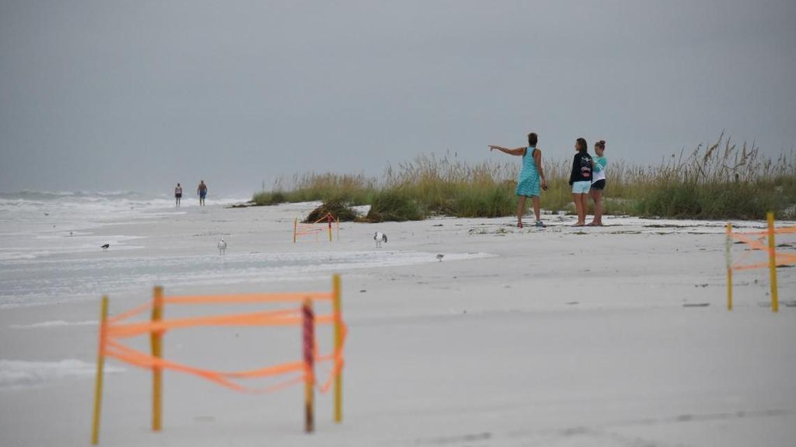 The beaches on Anna Maria Island had beach walkers and surfers enjoying the rainless morning on Thursday. Marked turtle nests were washed over from Wednesday’s rain.