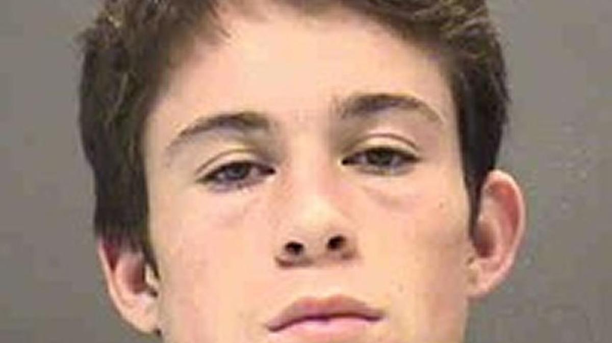 Michael Horan, 18, of Sarasota, is charged with one count of trafficking in MDMA.