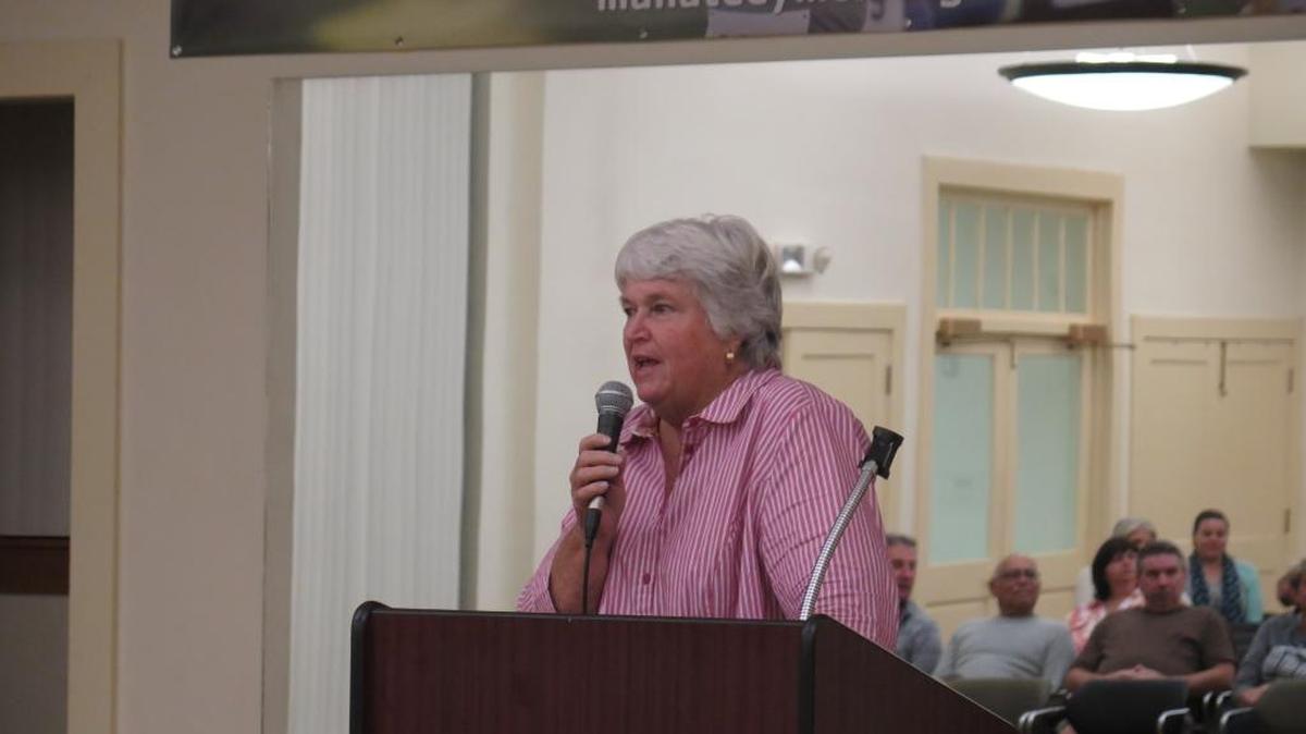 Priscilla Whisenant Trace, who will be sworn in as Manatee County Commissioner for District 1 on Monday, speaks to constitutents at the Parrish Civic Association meeting Thursday.