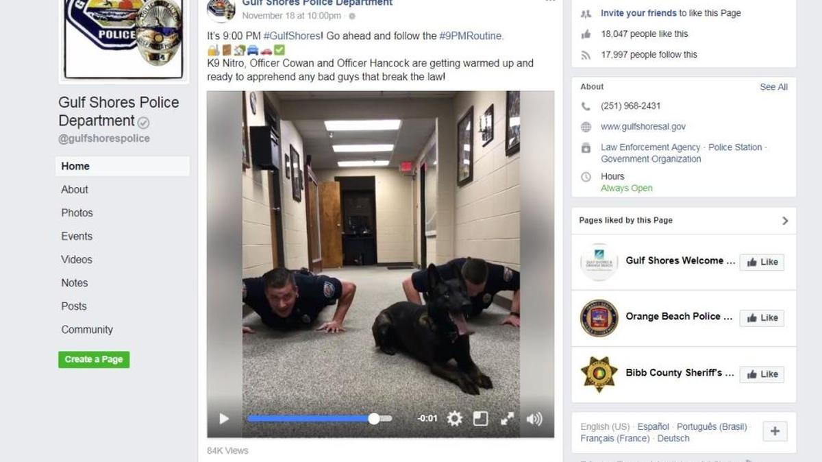 Screen grab of a Gulf Shores Police Deparment in Alabama’s Facebook post.