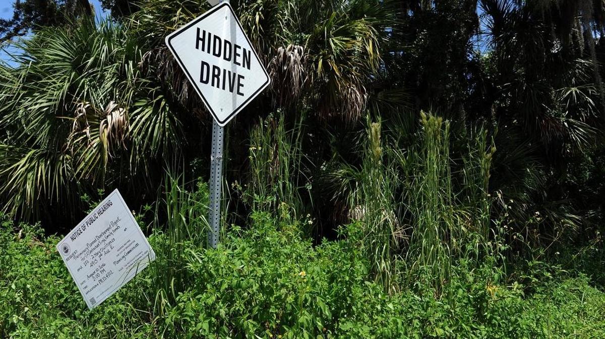 A continuation of development is planned for an area in East Bradenton that includes 12 single family homes and 172 townhomes.
