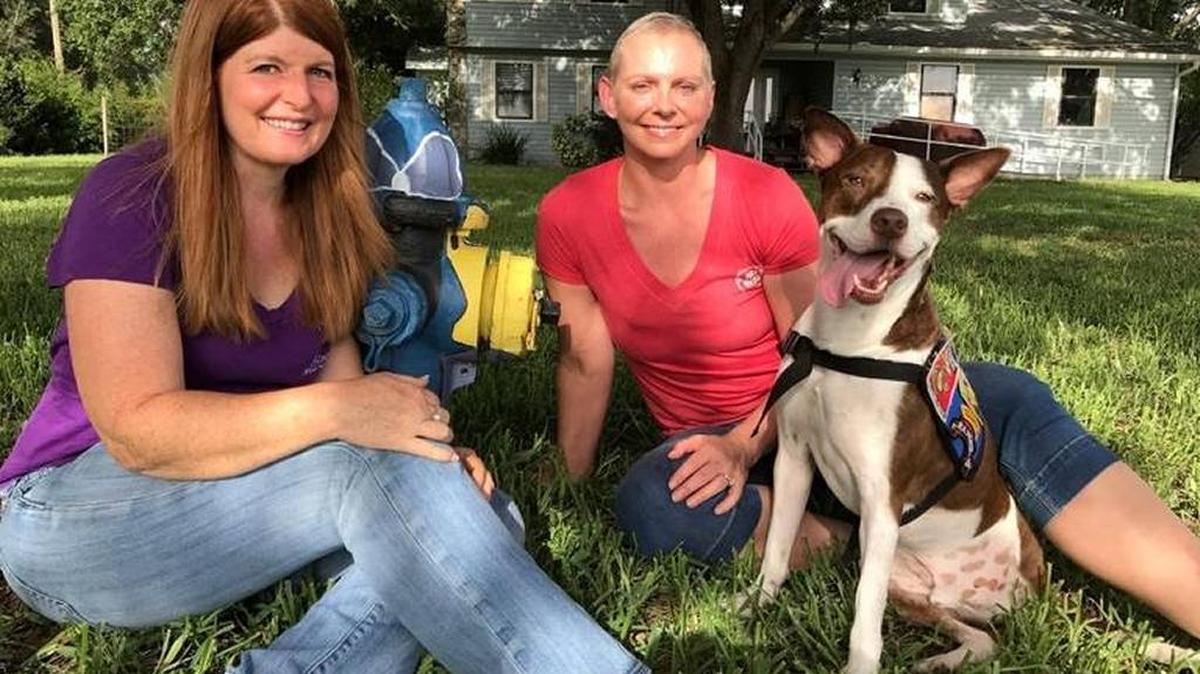 Karen Slomba, left, and Lavonne Bower, shown with her companion dog Oz, are looking for 38 more veterans to receive companion animals fee-free under a joint program by Nate’s Honor Animal Rescue and the Paws and Warriors Foundation.