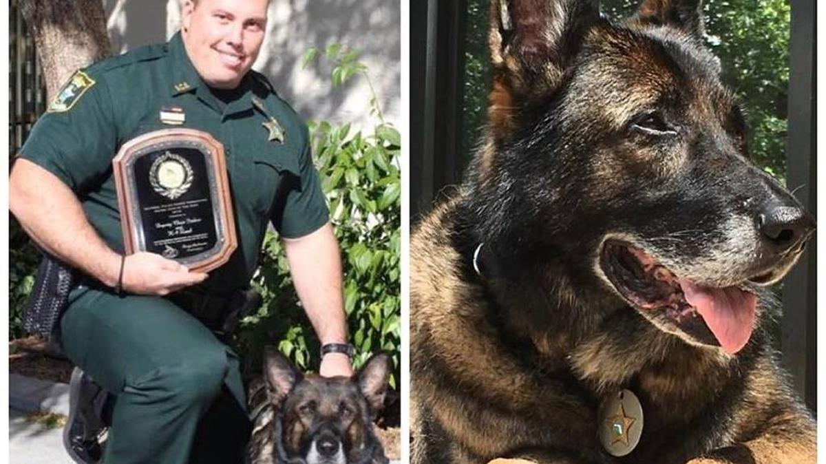 Deputy Chris Indico with K-9 Zuul in an undated photo. Zuul passed away early Wednesday.