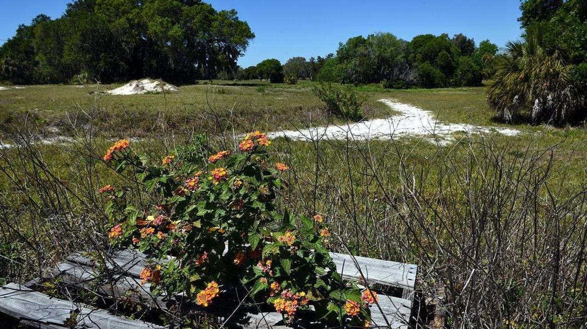DEP has given the developer a new March 28 deadline to complete testing for chemicals at the old Palm View golf course before construction can begin.
