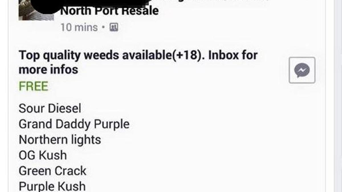 A screenshot of a Sarasota County Sheriff’s Office Facebook post that called out a man who posted photos of “top quality weeds” for sale on the social media site.