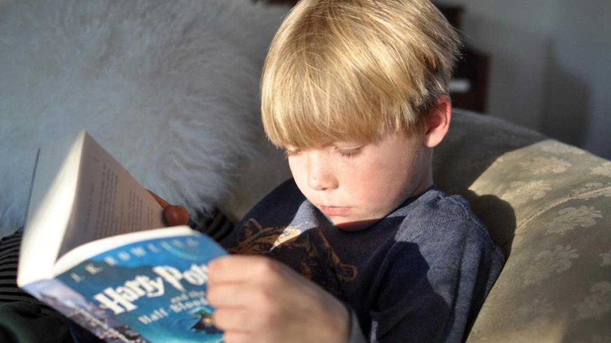 Manatee-Sarasota county region has been named a finalist for the good work they’ve done in the Grade-Level Reading Campaign.