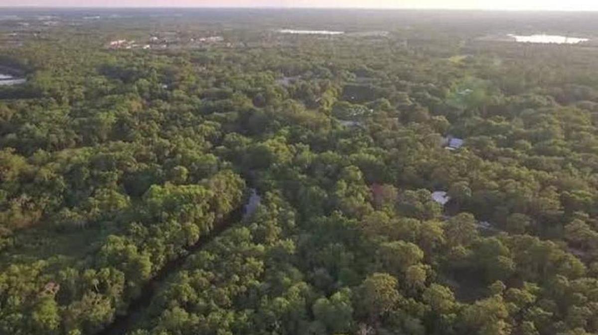 A 33-acre plot of woods in East Manatee is one step closer to being saved from development and turned into a county park.