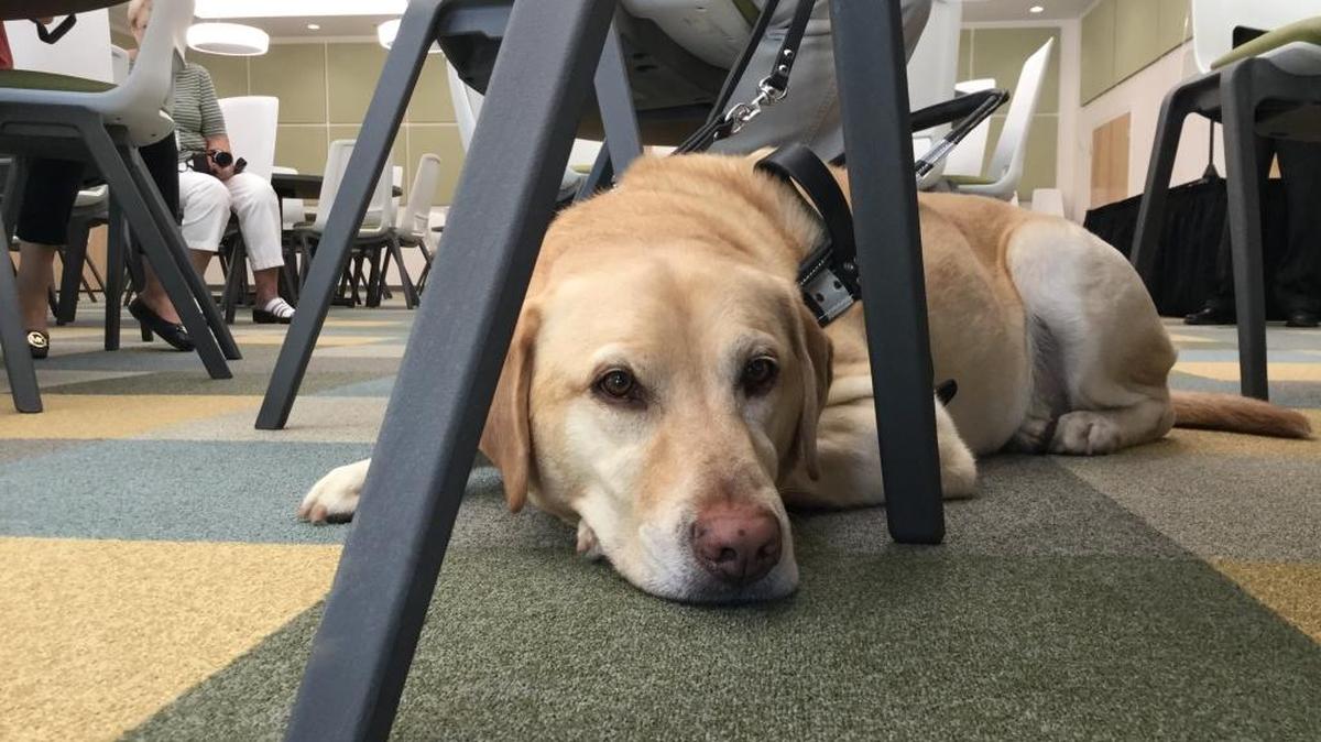 Southeastern Guide Dogs will have one of its canines at the East Manatee Republican Club meeting on May 11.