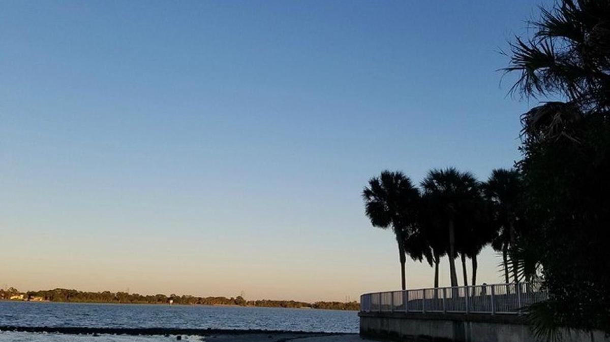 Submitted via the Bay News 9+ app: Clear skies over Phillipe Park in Safety Harbor, Sunday, January 8, 2017.