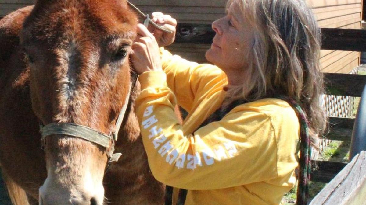Prospect Riding Center founder Susan Tambone works with a therapy animal.