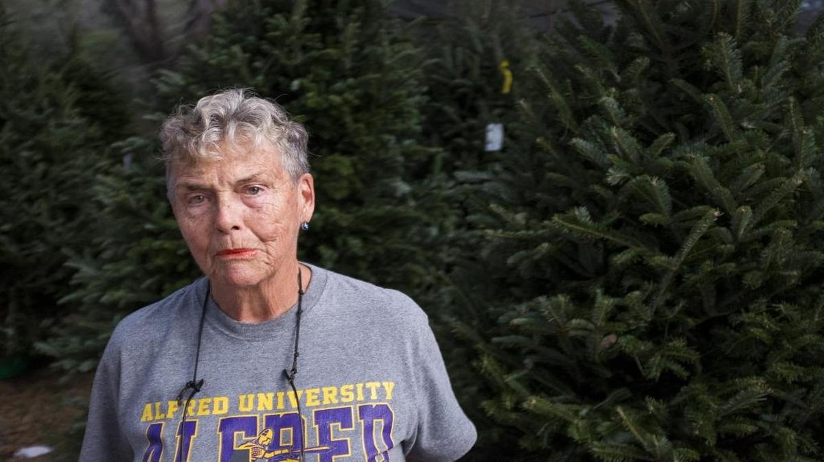 Claire Brown, owner of Claire's Produce and Plants, poses for a portrait at her shop on Monday evening, December 5, 2016 in Sarasota. Brown has been selling Christmas trees on her property, which is zoned suburban agriculture, but the county has told her that she needs a permit to sell the trees and has until Tuesday to either get the permit or stop selling the trees.