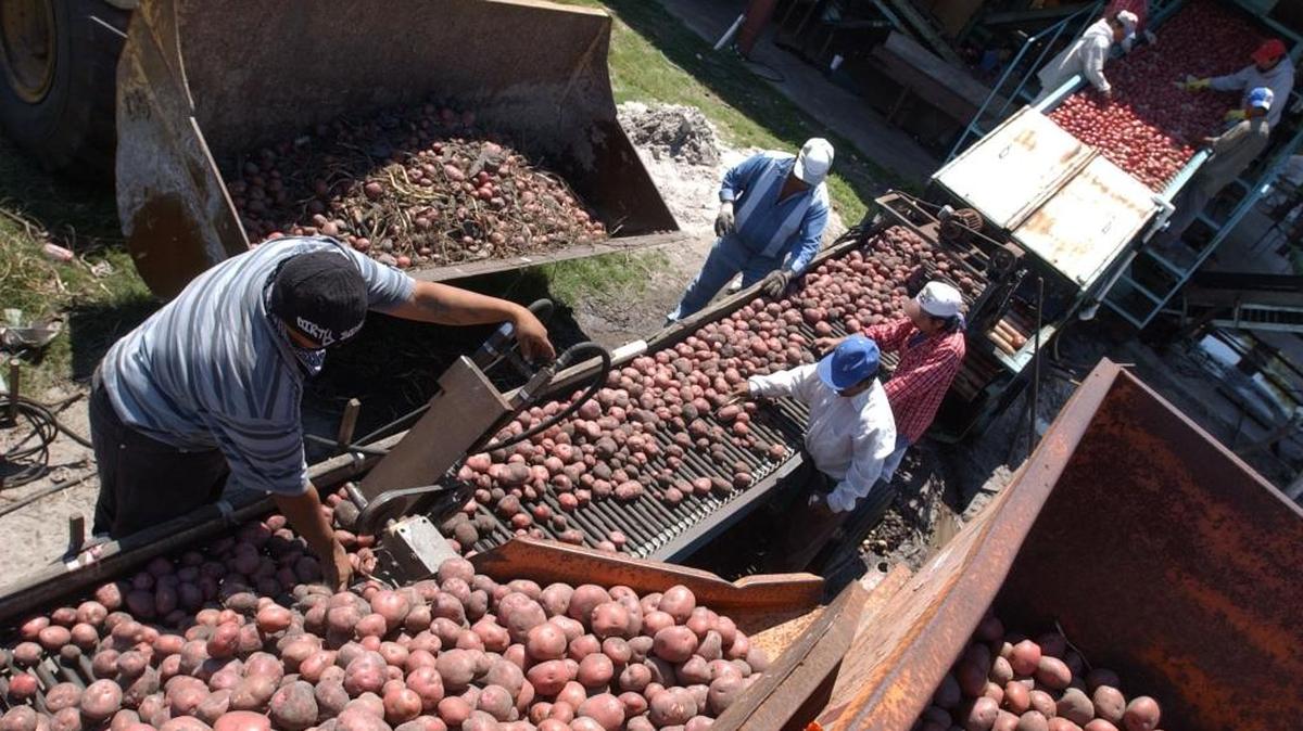 Jones Potato Farm will be a stop on the Spring Farm Tour in Manatee County.