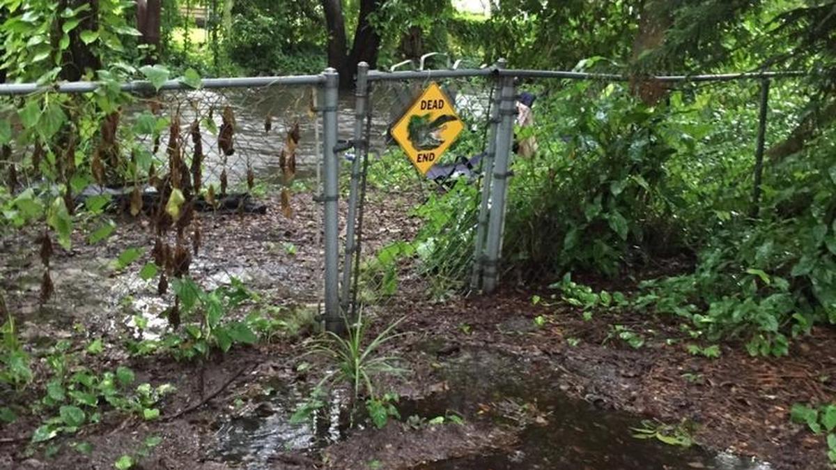 The picture, taken by Heather Blanchard, was taken when flooding first began on Ware’s Creek in late August 2016. By afternoon, this fence was completely underwater and eventually knocked down by rushing water and debris.