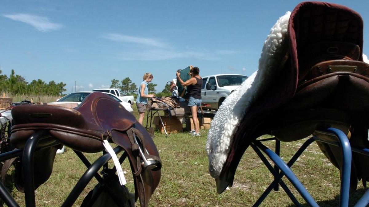 SMART got some support for its riding therapy programs this week from proceeds of autism license plate sales. The nonprofit is planning its annual Black Friday used tack sale 8 a.m.- 3 p.m. Nov. 25 at the Tractor Supply building, 4404 State Road 64 E.