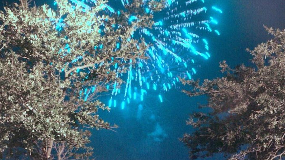 Each year hundreds of people crowd along Bradenton’s Riverwalk to enjoy the Fourth of July fireworks, many arriving hours early to secure a good viewing spot.