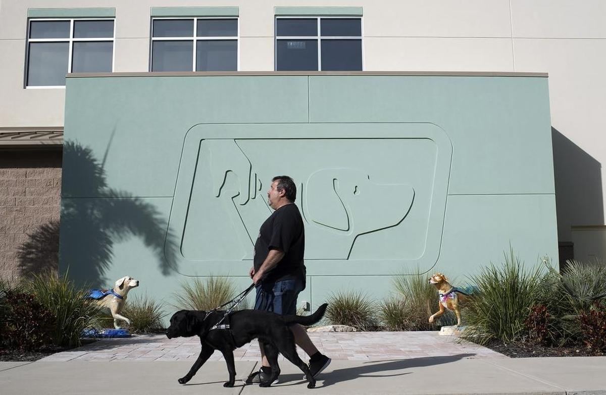 Aaron Cornelius on his new dog, Vernon: “He’s shown me that he knows what to do and I’m ready to go to the beach or to the store again. I’m ready to be independent again.”