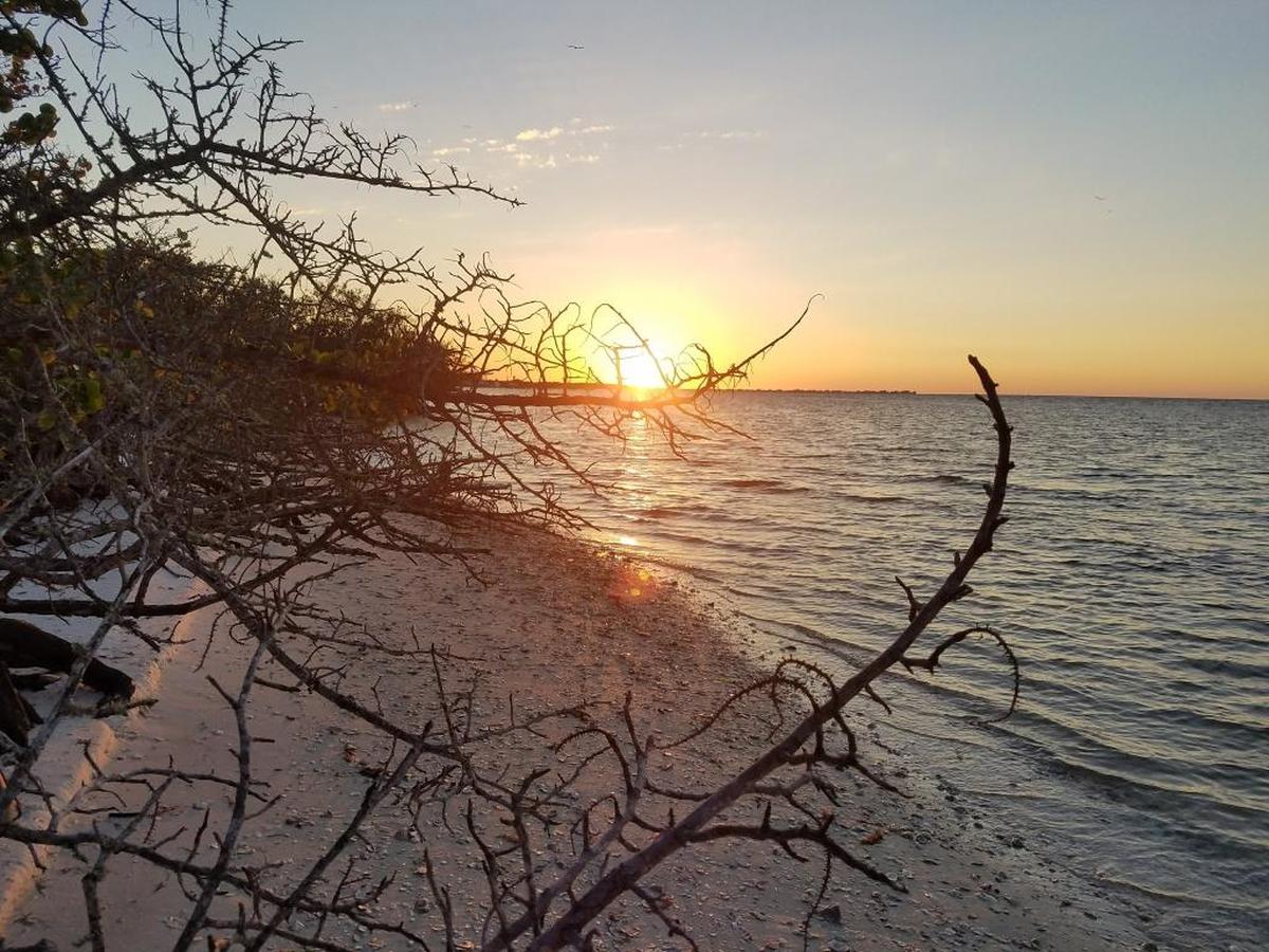 Participate in a beach cleanup at De Soto National Memorial on Saturday.