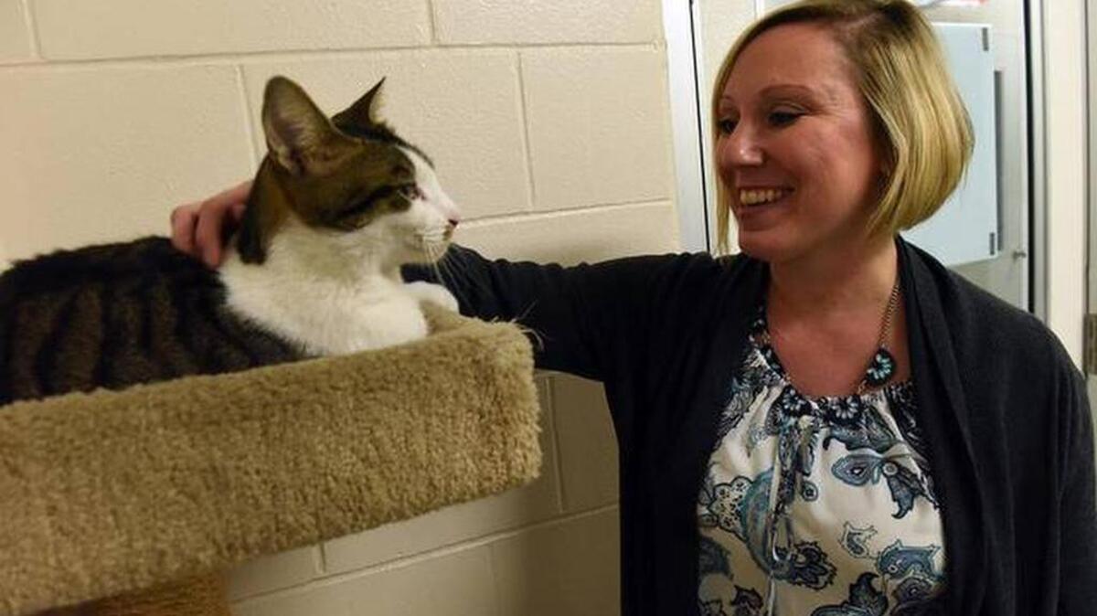 Sarah Brown, chief of Manatee County Animal Services, visits with a cat at the county animal shelter in Palmetto.