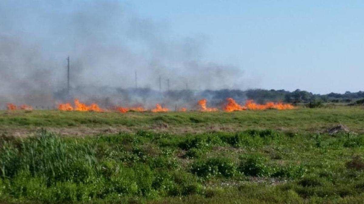 Sarasota County fire officials issued a burn ban Friday due to the dry weather conditions.