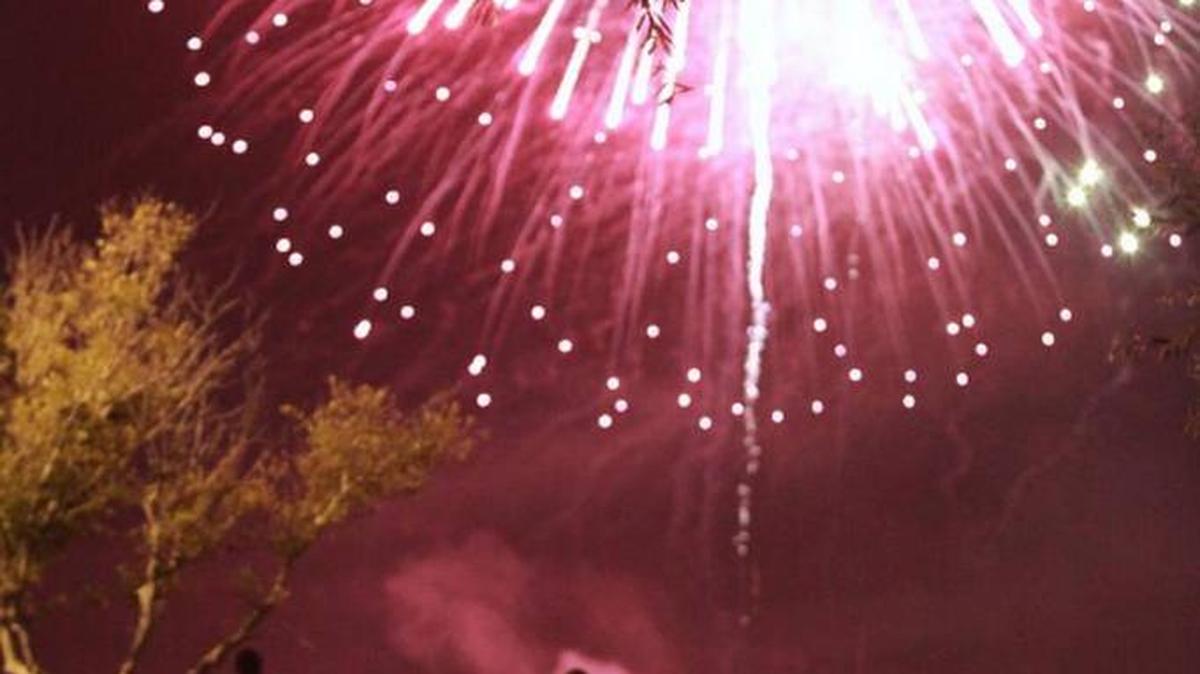 The Green Bridge will temporarily shut down during the annual Fourth of July festival in Palmetto.
