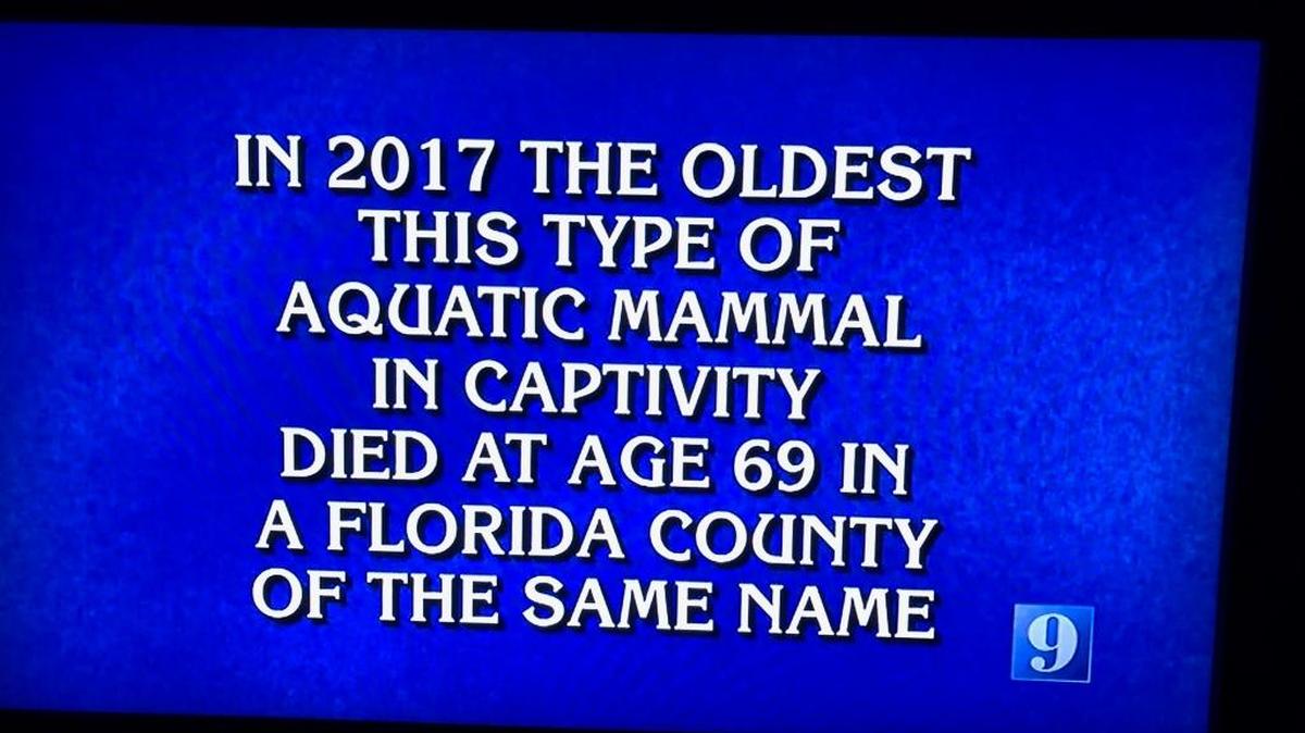Snooty the manatee earned a shoutout on Tuesday night’s episode of Jeopardy.