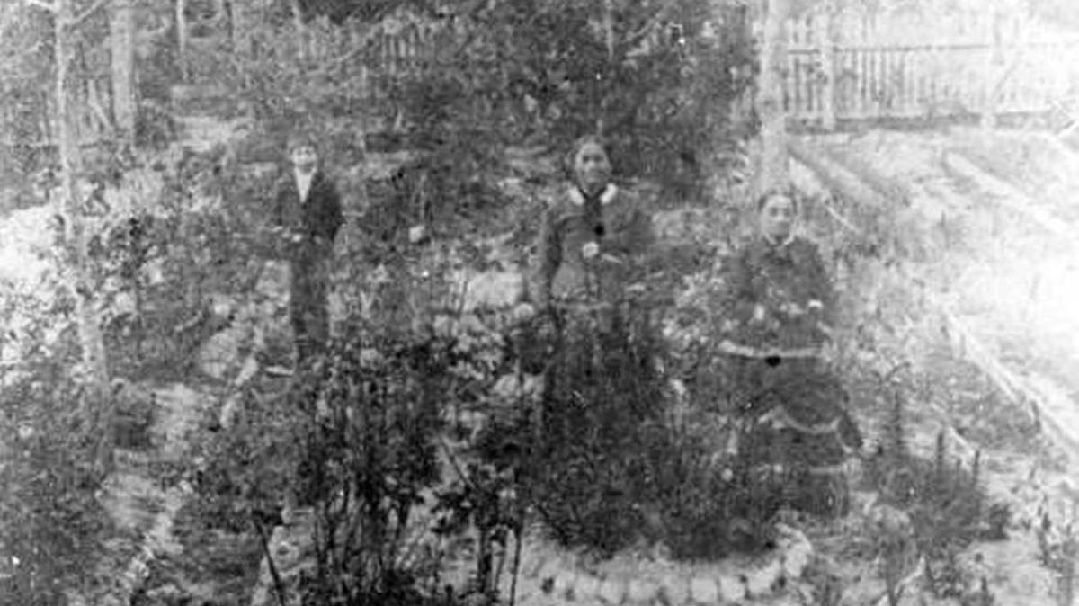 Julia Atzeroth, center, tends to her coffee trees with grandson William Fogarty, left, and daughter Eliza Atzeroth.