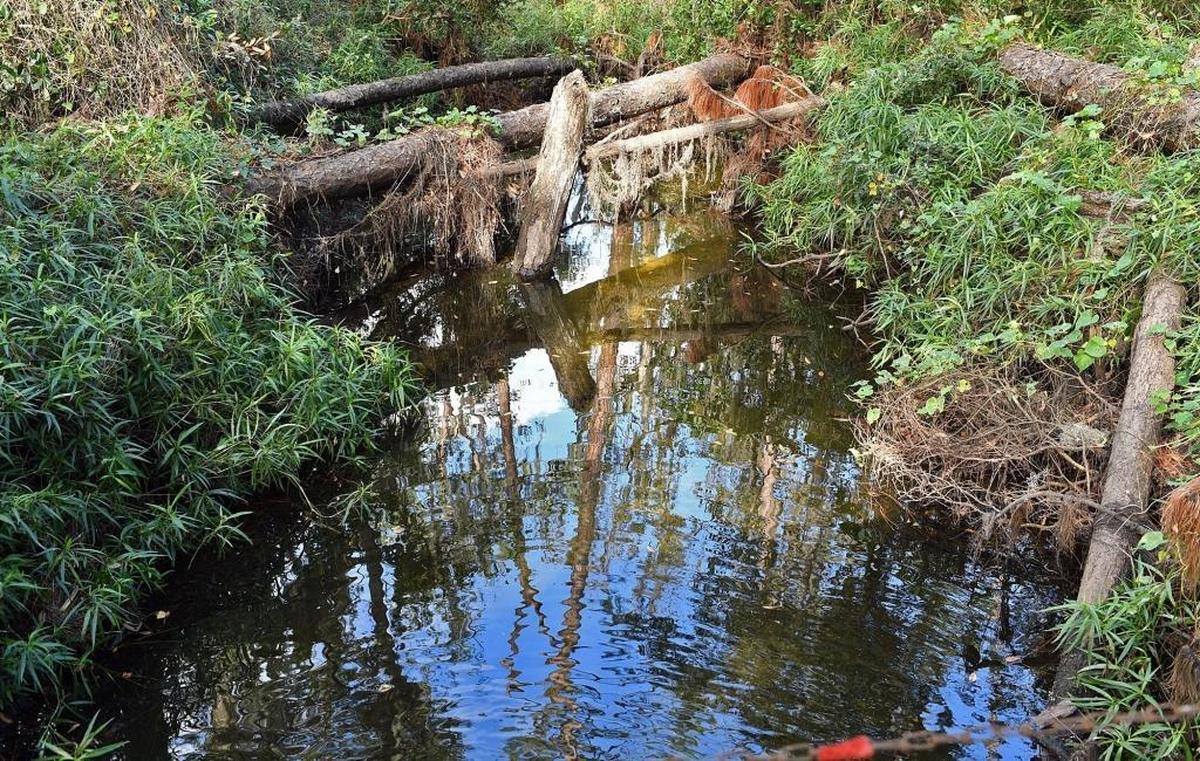 Tyre Creek on L3 Farms, where Gamble Creek Village is proposed. The vision for Gamble Creek Village is a development proposal of a nearly 6,000-acre plot of farmland, seeking to curb the trend of urban sprawl with open space and agriculture.