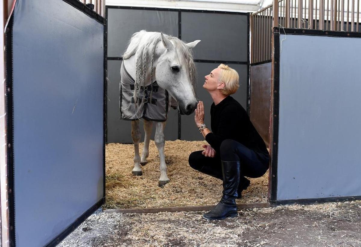 Sylvia Zerbini with one of her 12 performing horses, Bebe in the traveling stables set up behind the tent during a rehearsal of Circus Sarasota's show Tuesday. The performances are set to open Friday in the tent behind the UTC Mall.
