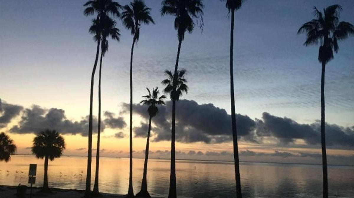 Sunrise at North Shore Park in St. Petersburg on April 1.