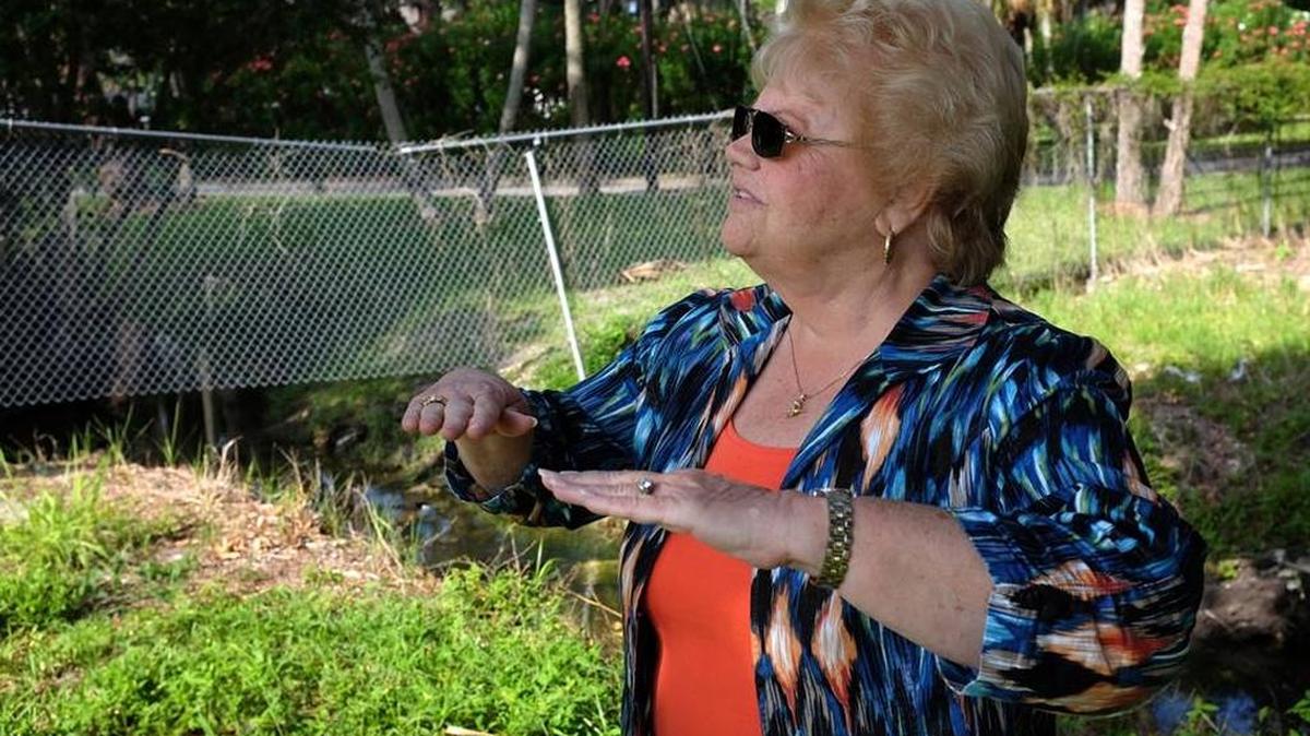 Palmetto Mayor Shirley Groover Bryant talks about the possibilities of a brownfield property along the Manatee River that the Environmental Protection Agency just funded for clean up. File photo