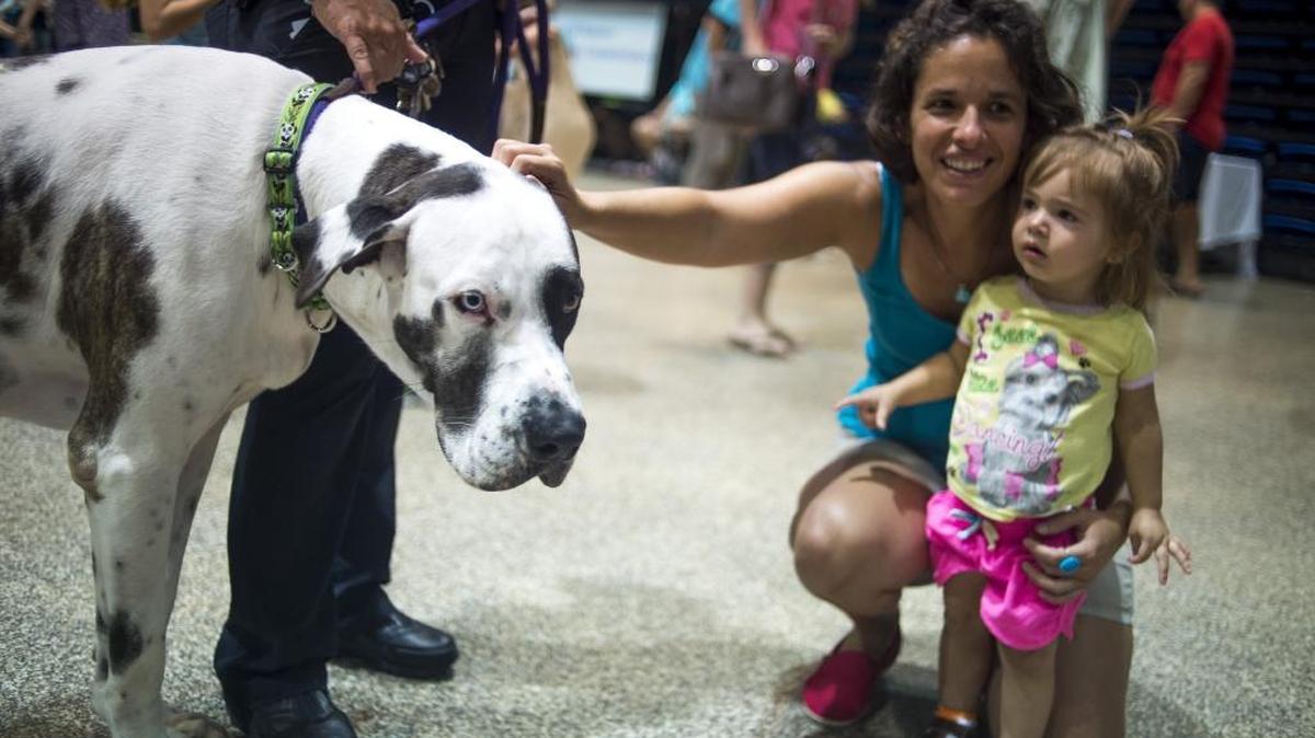 Caron Calvo and her daughter, Chloe Calvo, greet a large Great Dane during the Adopt-A-Palooza event, hosted by Manatee County Animal Services, on Saturday afternoon at the Bradenton Area Convention Center in Palmetto. Local animal shelters brought in about 60 animals for adoption for just a small fee.