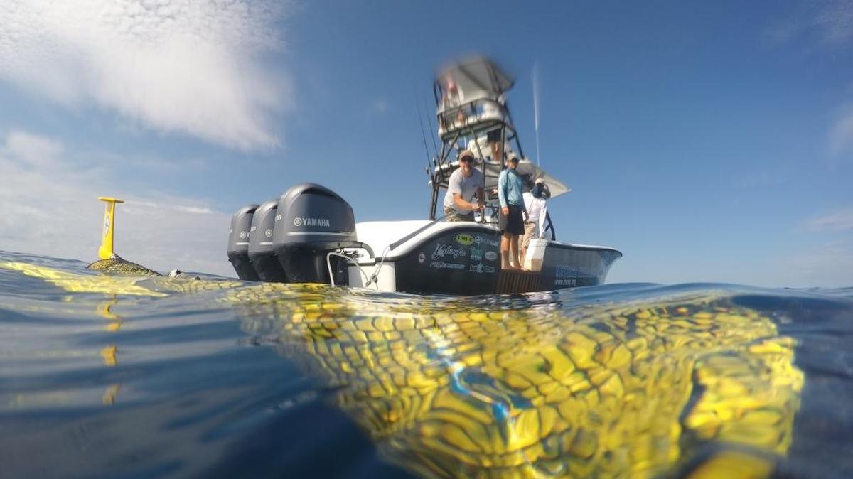 Tim Weghorst, a marine engineering technician at Mote Marine, hooks onto Genie to retrieve her from a 15-day mission in the Gulf of Mexico on June 24. Genie is a glider that collected data to understand how red tide moves and comes about.