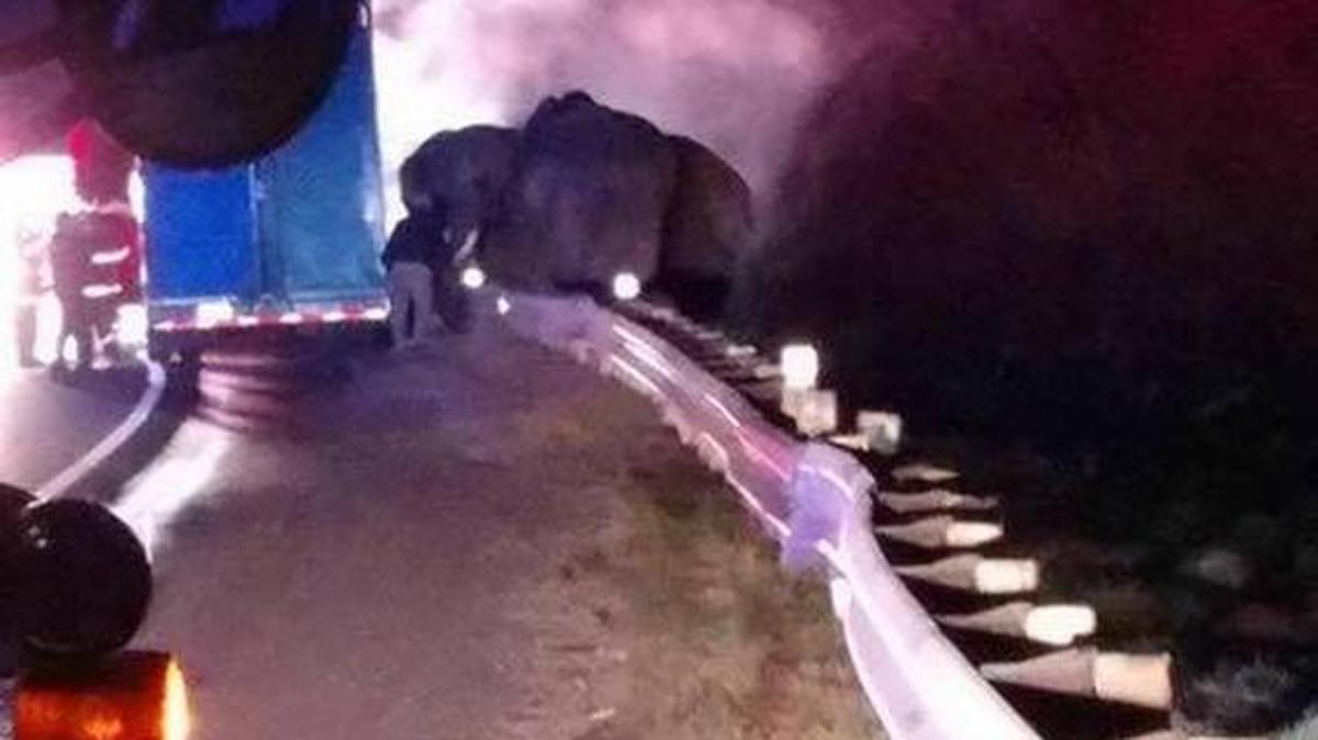 One of three African elephants peeks its head over a guardrail on Sunday night as fire crews in Georgia work to put out a fire that sparked on the tractor carrying the elephants. The elephants were being transported to Sarasota, fire officials said, and made it out of the trailer safely.
