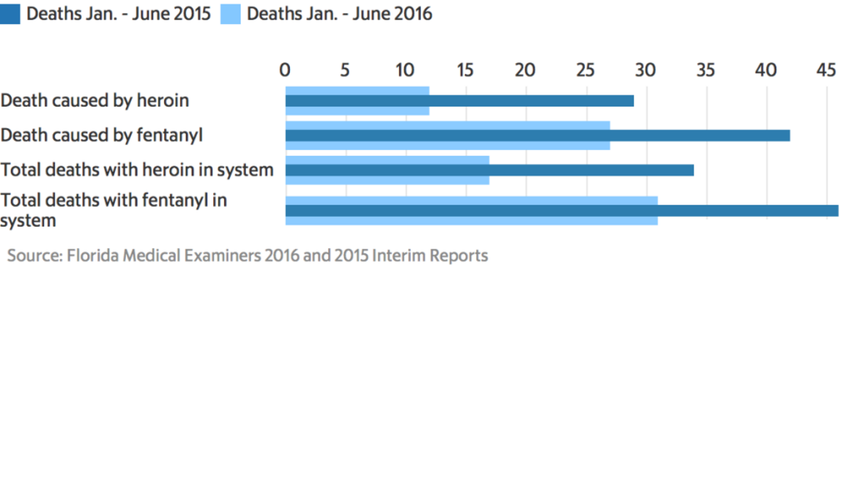 A graphic showing the number of heroin and fentanyl caused and related deaths in the first six months of 2015 and 2016 with statistics from the Florida Medical Examiners Commission.