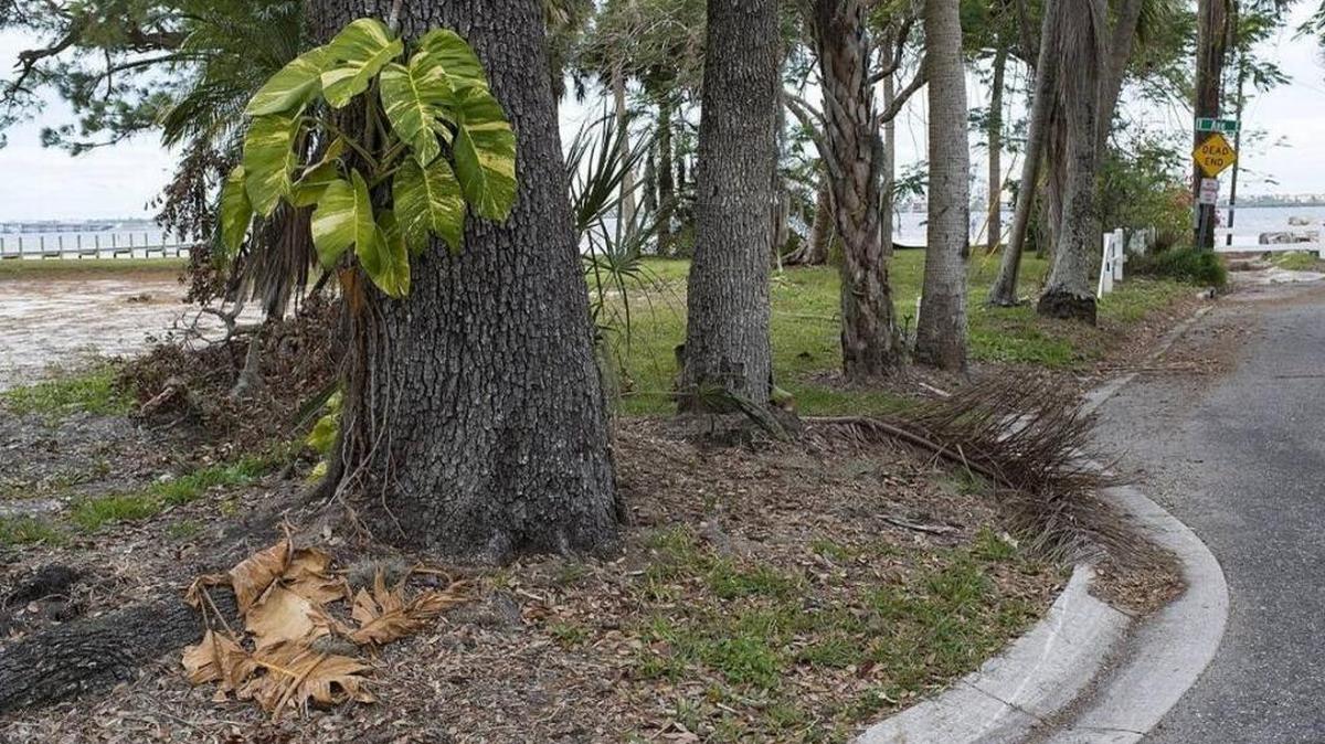 This area purchased by the city at the end of 12th Street East and just north of Mineral Springs Park will be the topping on the Riverwalk expansion cake as a new park.