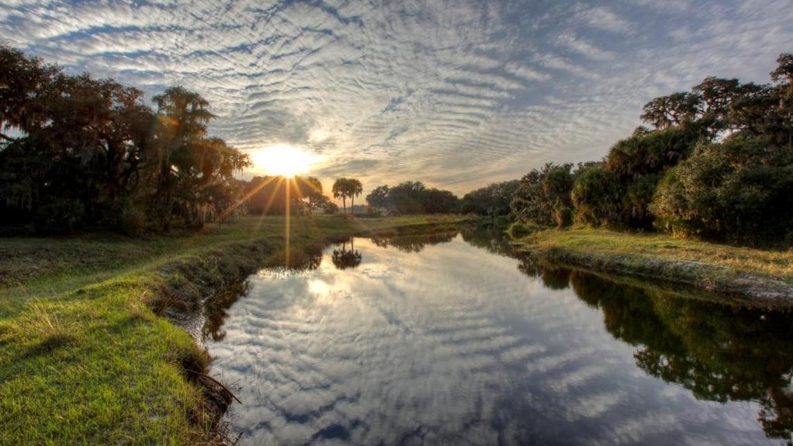 Swiftmud approved $2 million from the Forever Florida Trust Fund to help turn Carlton Triangle Ranch into a conservation easement.