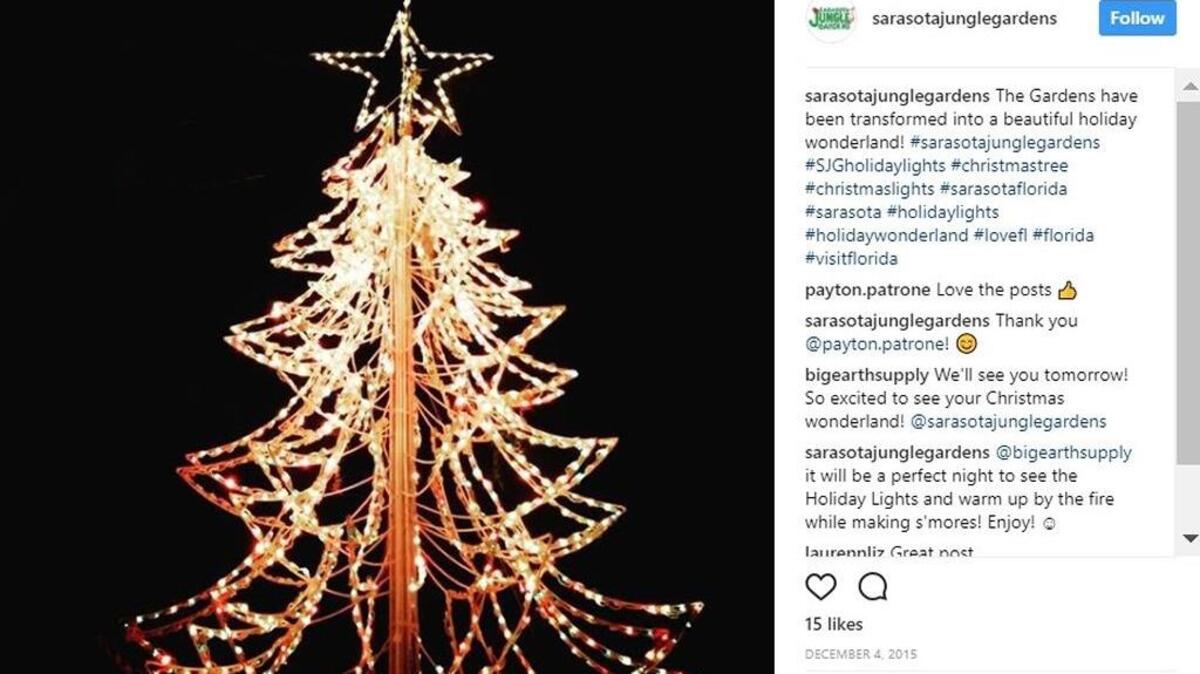 The annual Holiday Lights attraction at Sarasota’s Jungle Gardens has been canceled due to damage from Hurricane Irma, park officials announced.
