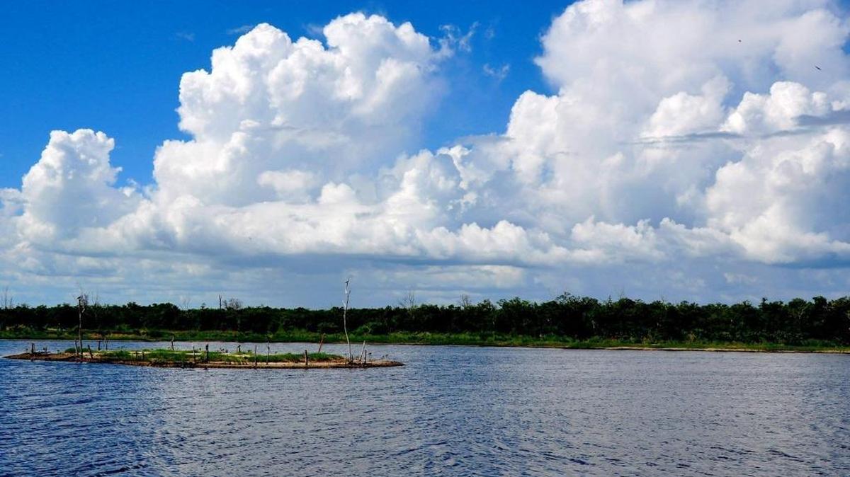 In this file photo, Manatee County's Perico Preserve could be used as seagrass mitigation for a Sarasota beach renourishment project on Lido Key.