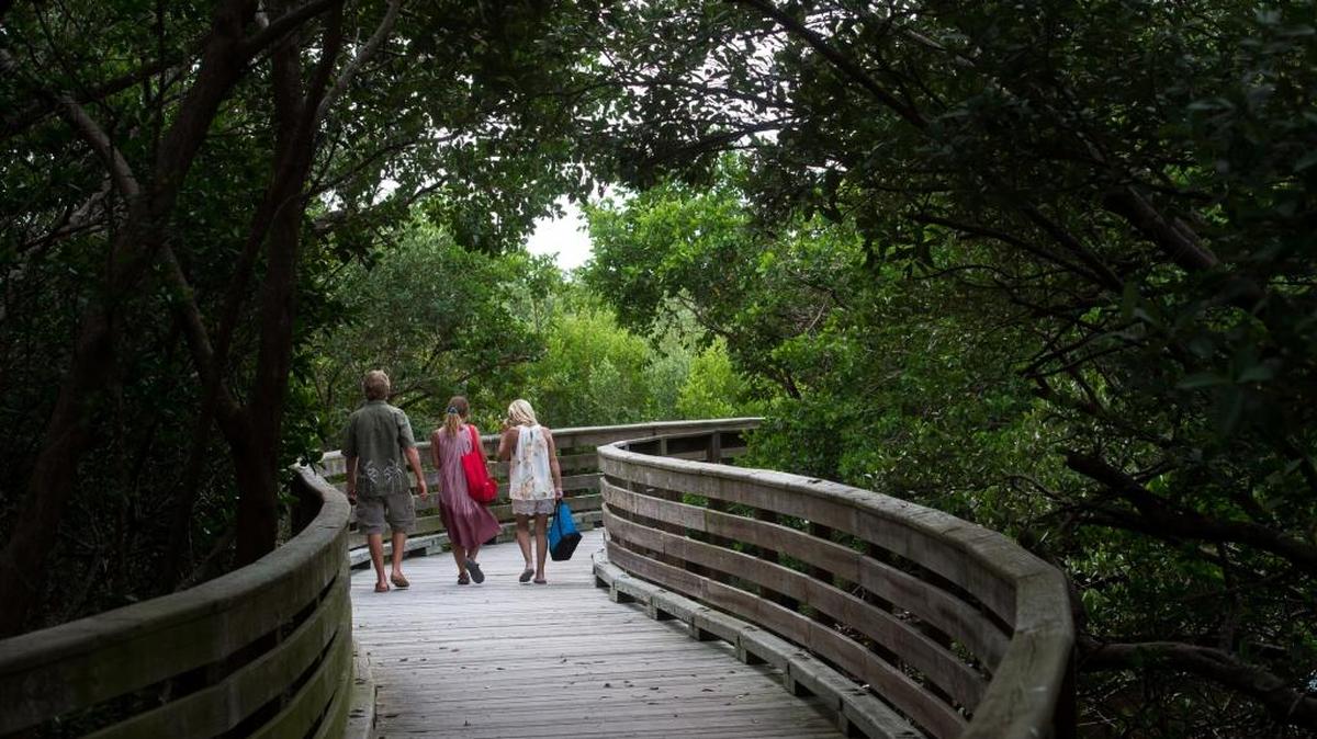 Visitors walk on a wooden boardwalk through the Robinson Preserve in Bradenton on Thursday .