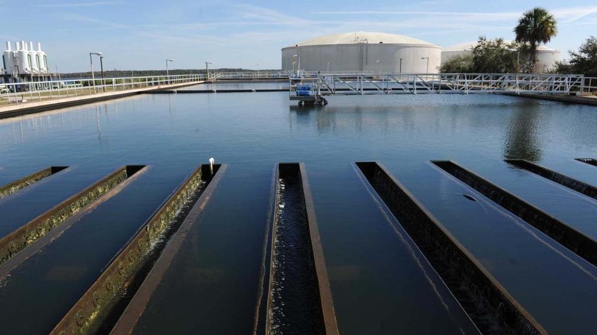 Blue-green algae is causing a problem at the Lake Manatee Reservoir where Manatee County sources drinking water, government officials announced. The water purification plant is shown in this Bradenton Herald file photo.