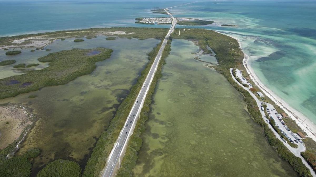 When an earthquake struck Alaska early Tuesday, within an hour seismic waves caused groundwater in parts of Florida to fluctuate.