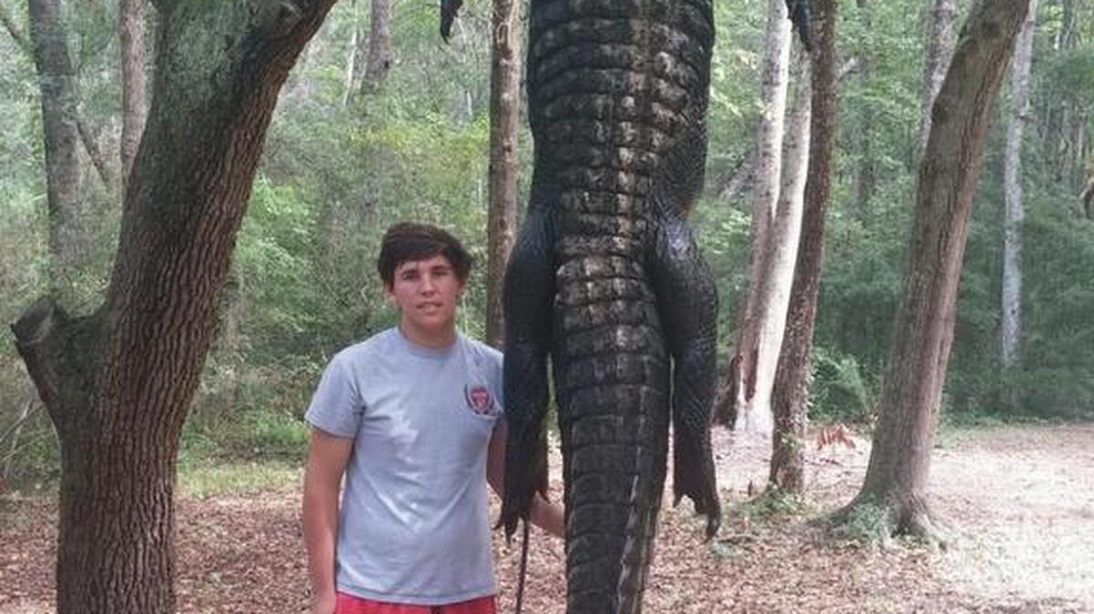 Gavin McDowell, 16, stands next to a 13-foot, 5-inch alligator he helped his father and crew catch late Saturday night in the Waccamaw River.
