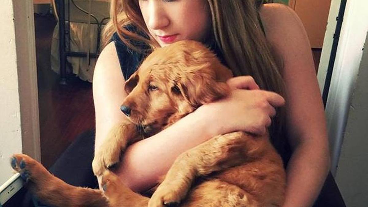 Claire Elizabeth Persons seeks the safe return of her 16-week-old golden retriever puppy. Family say the dog was stolen along with four other dogs from a Hurley home Friday night. The puppy was being trained as a service dog for Claire.