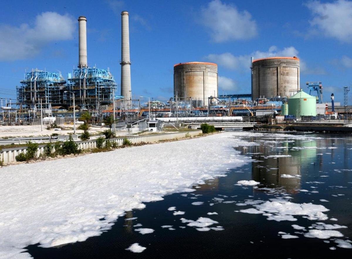 White House proposed cuts to the Environmental Protection Agency would eliminate programs that helped address pollution leaking from FPL’s Turkey Point cooling canals.