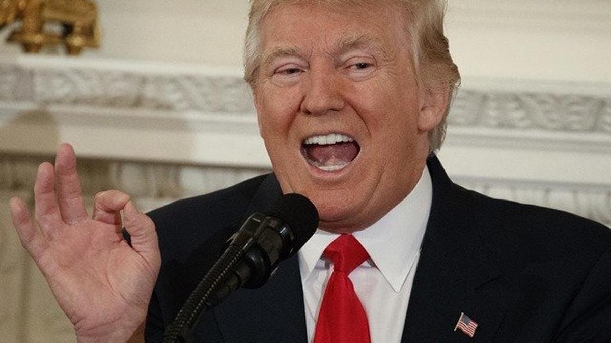 President Donald Trump addresses the National Governors Association at the White House.