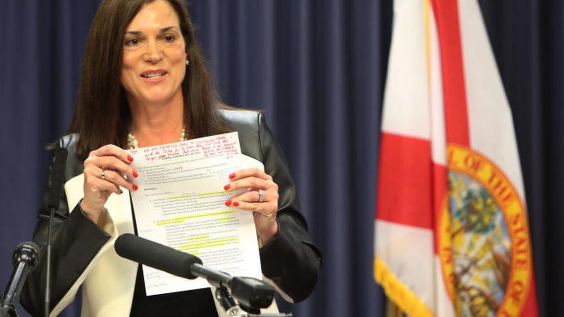 Dana Young at a press conference before her election. She said opponents distorted her position on fracking in Florida.
